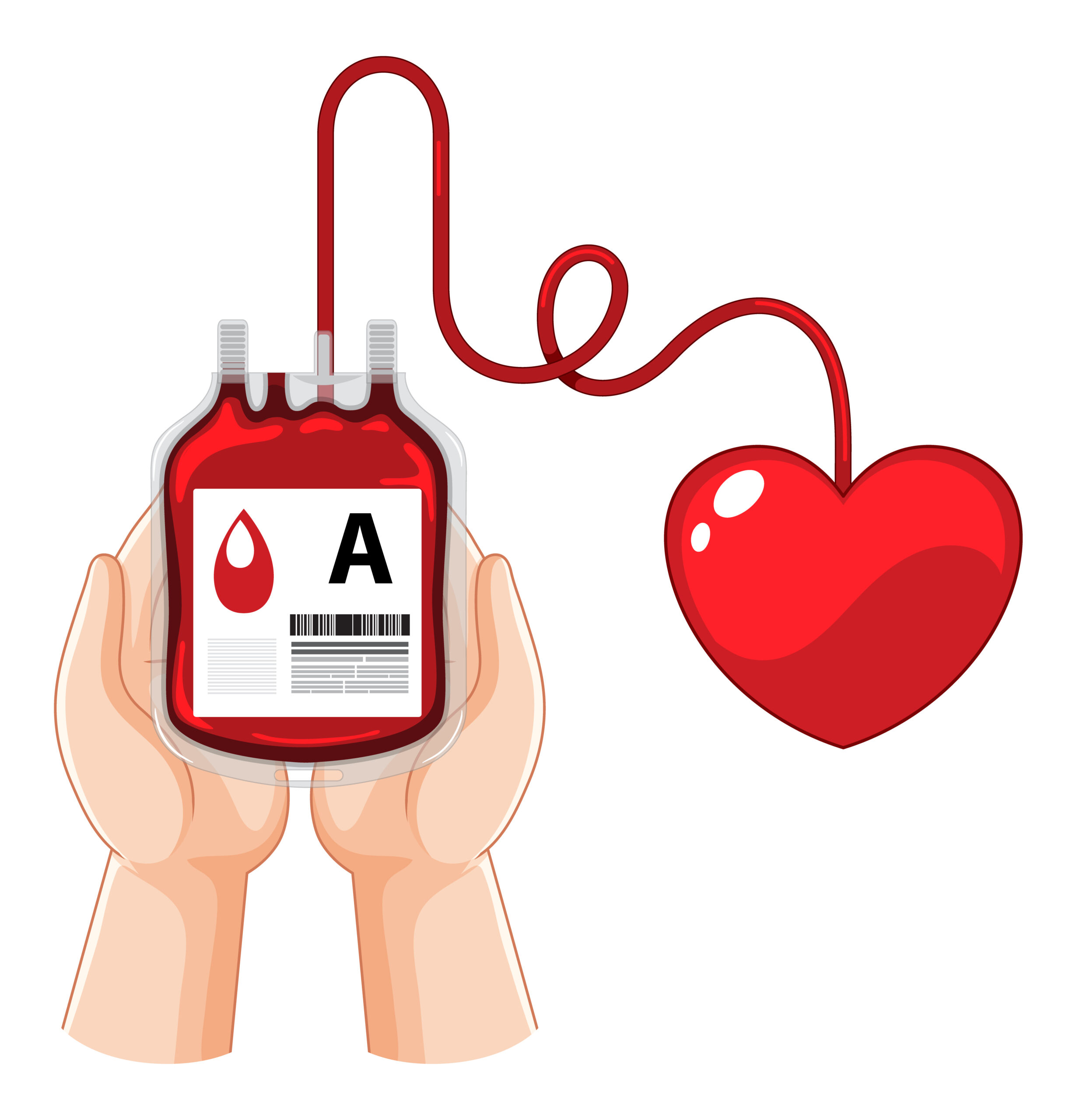 Donación de sagre en Somo