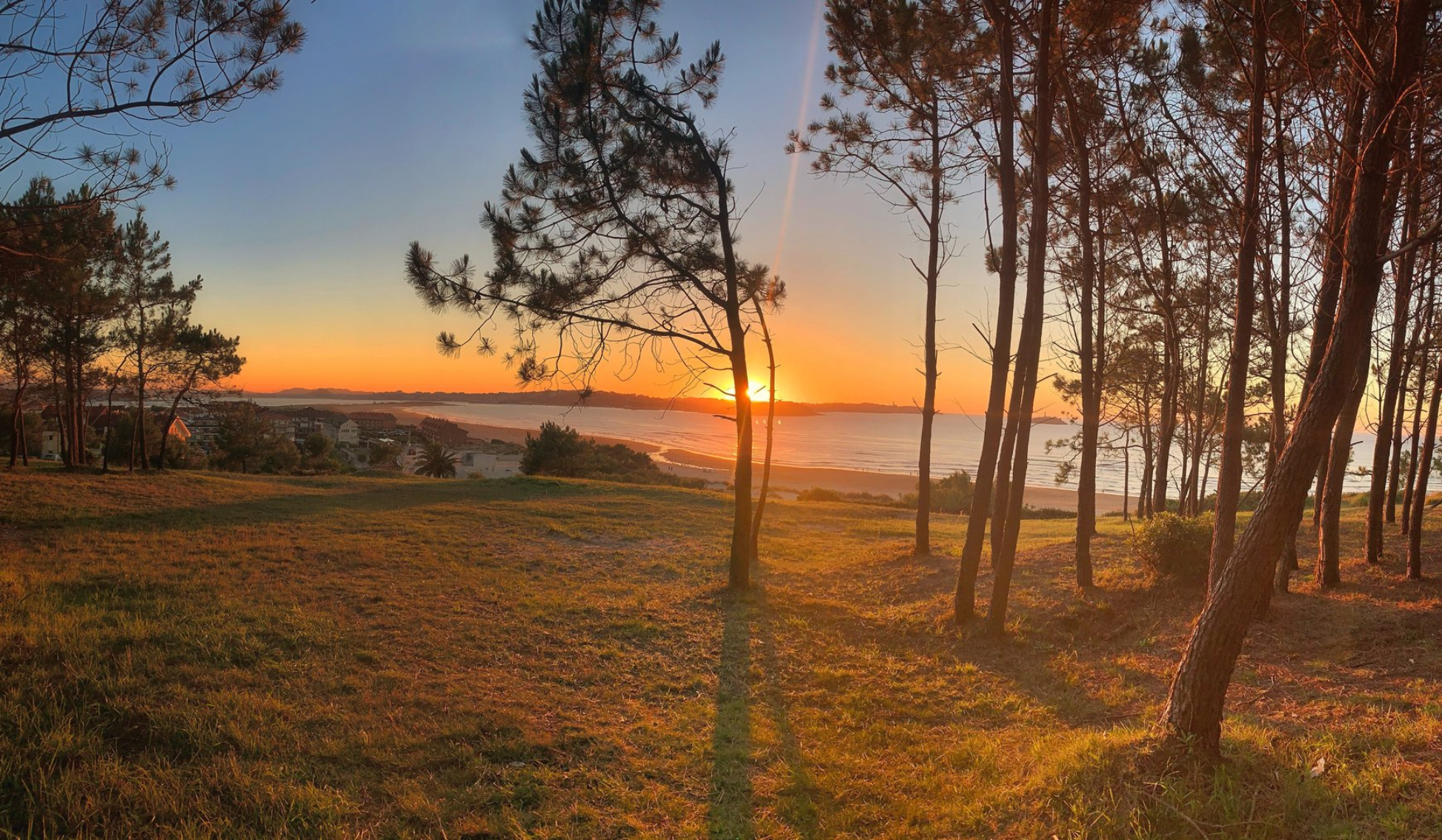 MOCIÓN URGENTE MEDIDAS DE APOYO COMUNIDAD BUENOS AIRES.