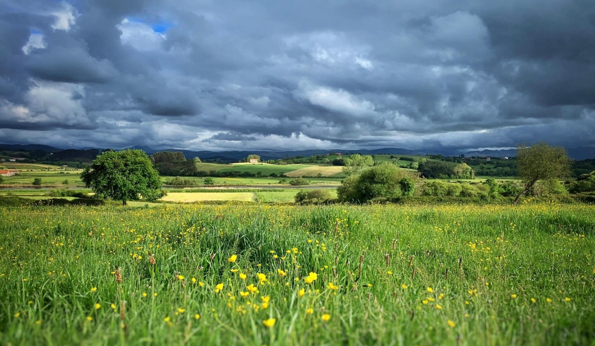 MODIFICACIÓN DE LA ORDENANZA MUNICIPAL PARA LIMITAR ESTACIONAMIENTO DE CARAVANAS EN RIBAMONTÁN AL MAR
