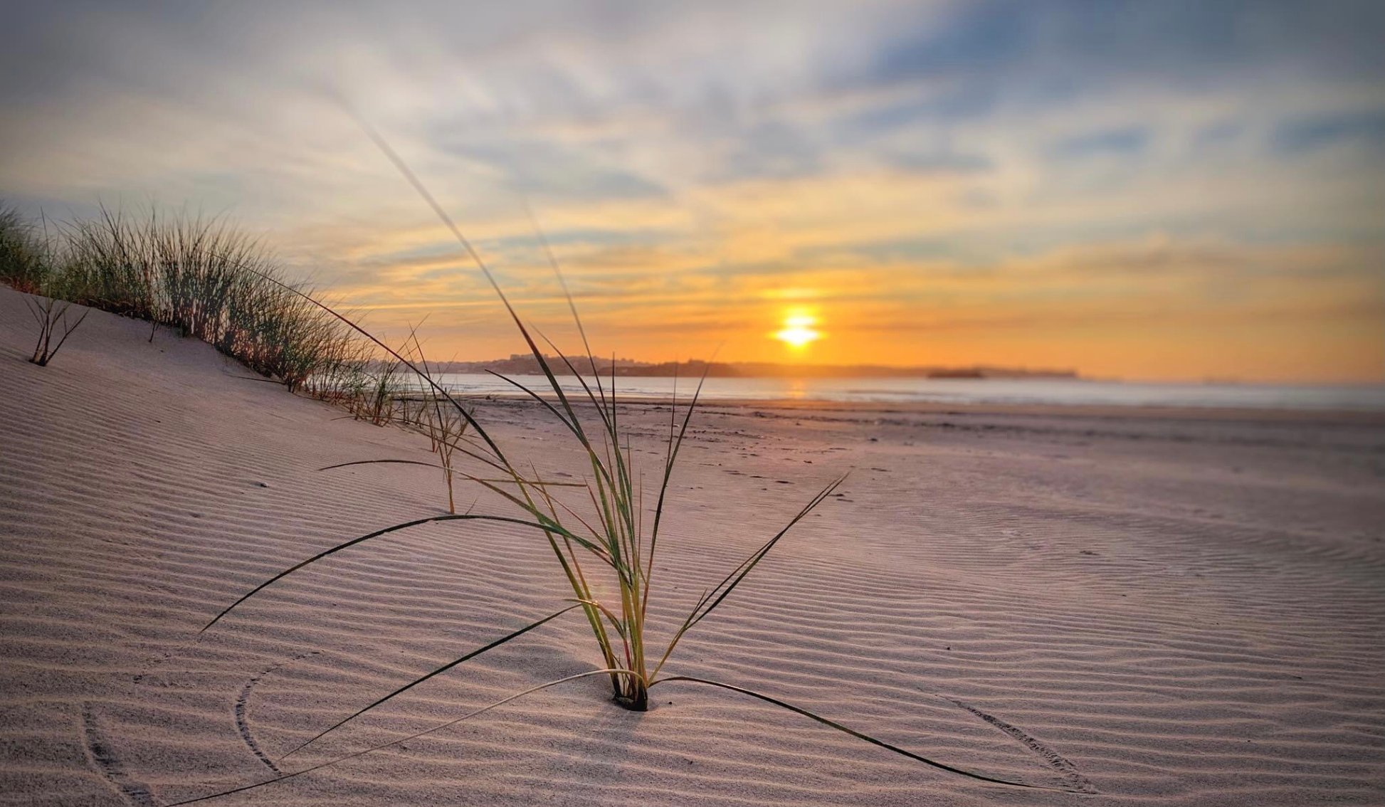 MOCIÓN PRESENTADA AL PLENO RELATIVA A LA REGULACIÓN DE LOS ACCESO A LA PLAYA DE SOMO LOREDO CON EL FIN DE CONTRIBUIR A LA RESTAURACIÓN EL SISTEMA DUNAR