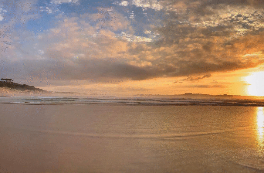 PROPOSICIÓN QUE PRESENTA EL GRUPO SOCIALISTA PARA ESTUDIAR Y DEBATIR EN EL PRÓXIMO PLENO SOBRE REGULACIÓN VIVIENDAS VACACIONALES EN EL MUNICIPIO.